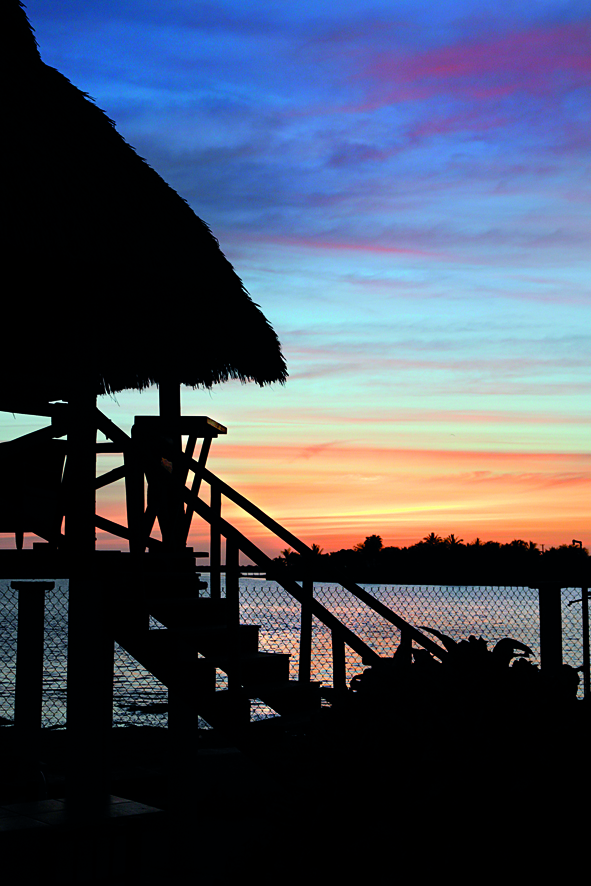 Ángel Flores: Desde Navolato vengo