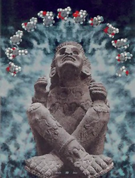 Ayocuan Cuetzpaltzin, el poeta