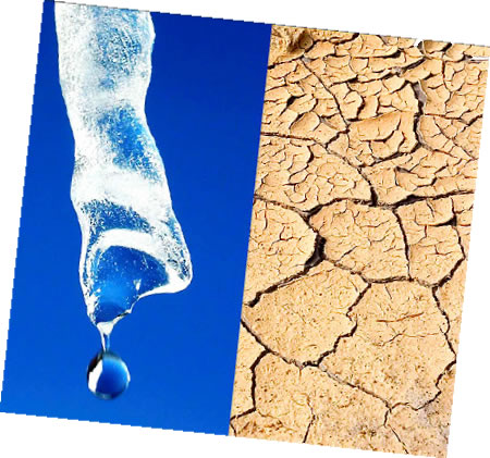 Despertar la acción nacional, para revertir los efectos adversos del cambio climático