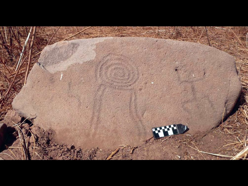 El Proyecto Arquelógico Norte de Sinaloa: Rutas de Intercambio