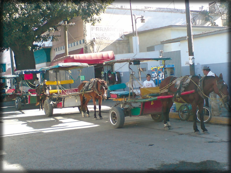 Las Arañas, son una tradición centenaria sobre ruedas que subsiste como medio de transporte y atractivo turístico
