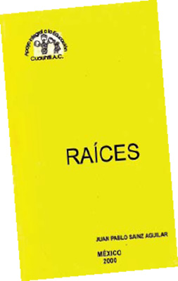 La literatura como testimonio social: Juan Pablo Sainz Aguilar