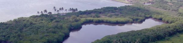 Piratas en “Punta Panochas”