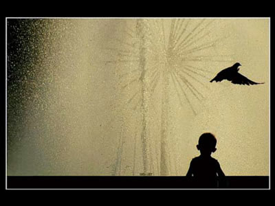 Septiembre 8, la penumbra