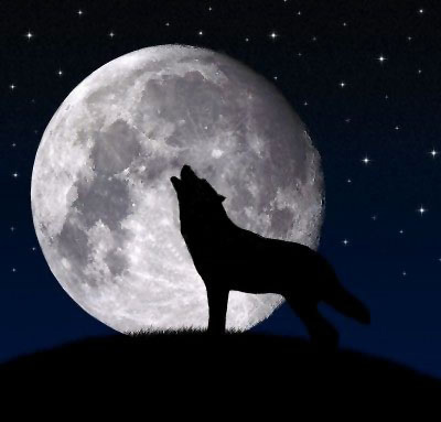 Animales en la lengua