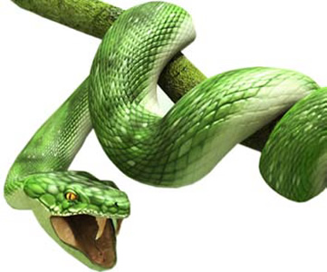 Animales en la lengua