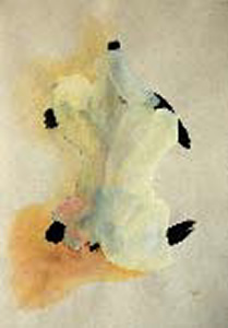 Instalación, montaje y performance…