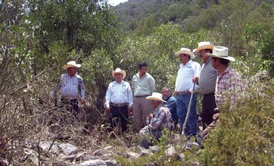 Origen del Real de los Infantes