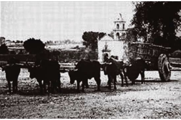 Fray Ignacio Jiménez, Bicentenario Luctuoso