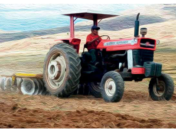 CHUY Y JOSE, PRECURSORES DEL CINE