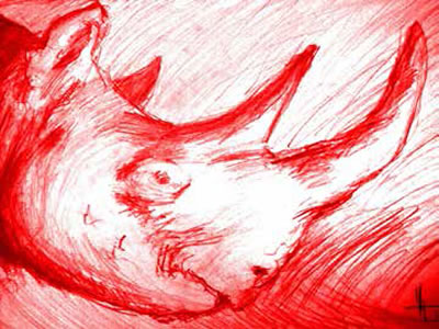 ANTONIO EL RINOCERONTE