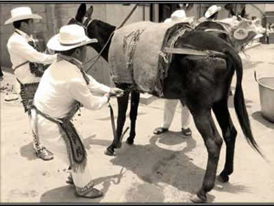 CAPULHUAC Y LOS ARRIEROS