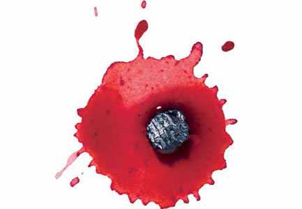 Nopalnocheztli… La Grana Cochinilla