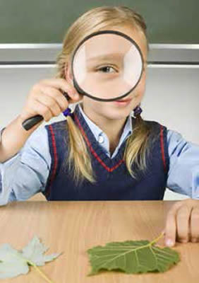 Ciencia, Cultura y Saber Insabido