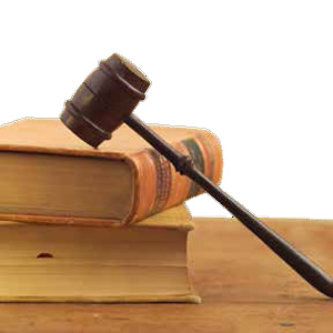 El Juicio de Amparo en México