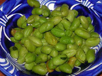 El Sabor de mi Tierra y el Calor de mi Gente