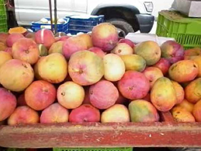 “EL TIEMPO Y LA SOLEDAD” Parte II