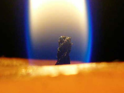 Para no morir a destiempo