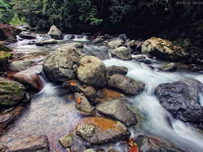 QUISIERA SER COMO EL RIO