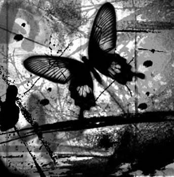 Poesía Negra en Chiapas