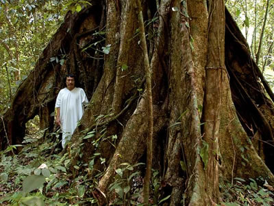 Los Lacandones del pasado y los actuales