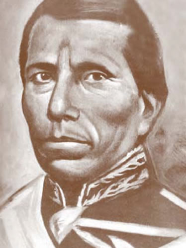 Tomas Mejía… Los últimos alientos del 2º Imperio (2da Parte)