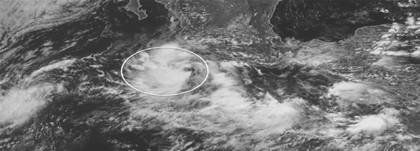 Un Monstruo llamado ODILE 2da Parte