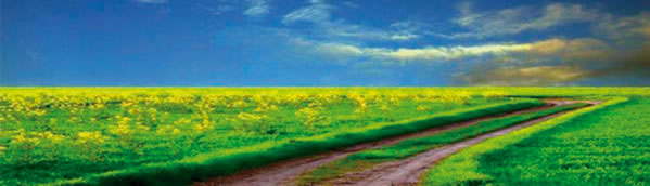 “El entendimiento del camino”