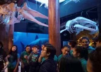 MUSEO DE LA BALLENA (LA PAZ, BCS)