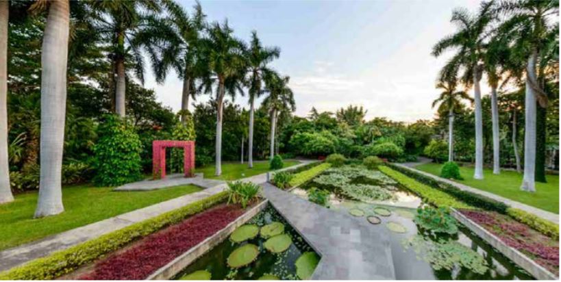 Y AHORA CON USTEDES, ¡EL JARDÍN BOTÁNICO CULIACAN!