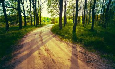 ARTÍCULO: DEMOCRACIA: ¿EL MEJOR DE LOS SISTEMAS POSIBLES, EL MENOS MALO DE LOS CONOCIDOS O EL QUE TENEMOS A MANO?