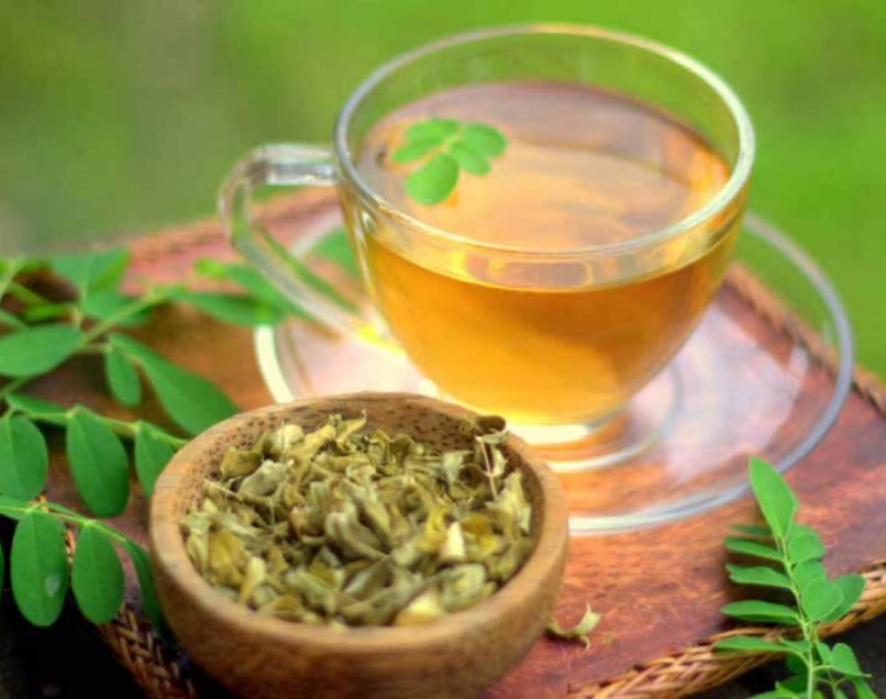 PLANTAS MEDICINALES EN SINALOA