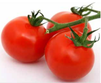 EL TOMATE: NUTRITIVO SÍMBOLO SINALOENSE