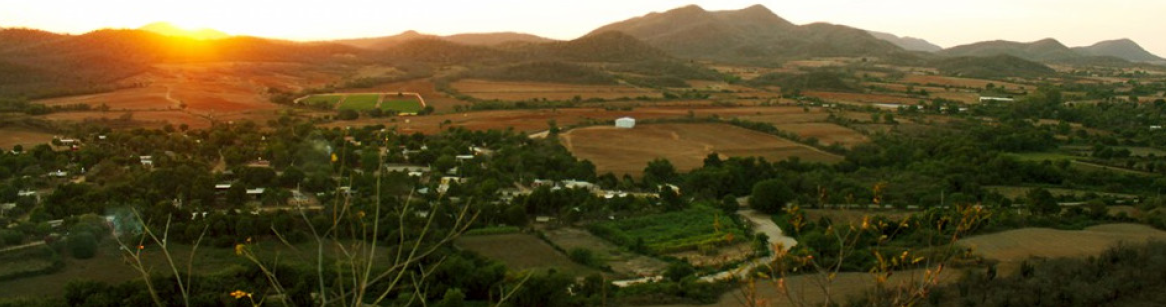 EL VALLE DE LEYVA SOLANO DESPUES DE LA ASONADA DE 1910